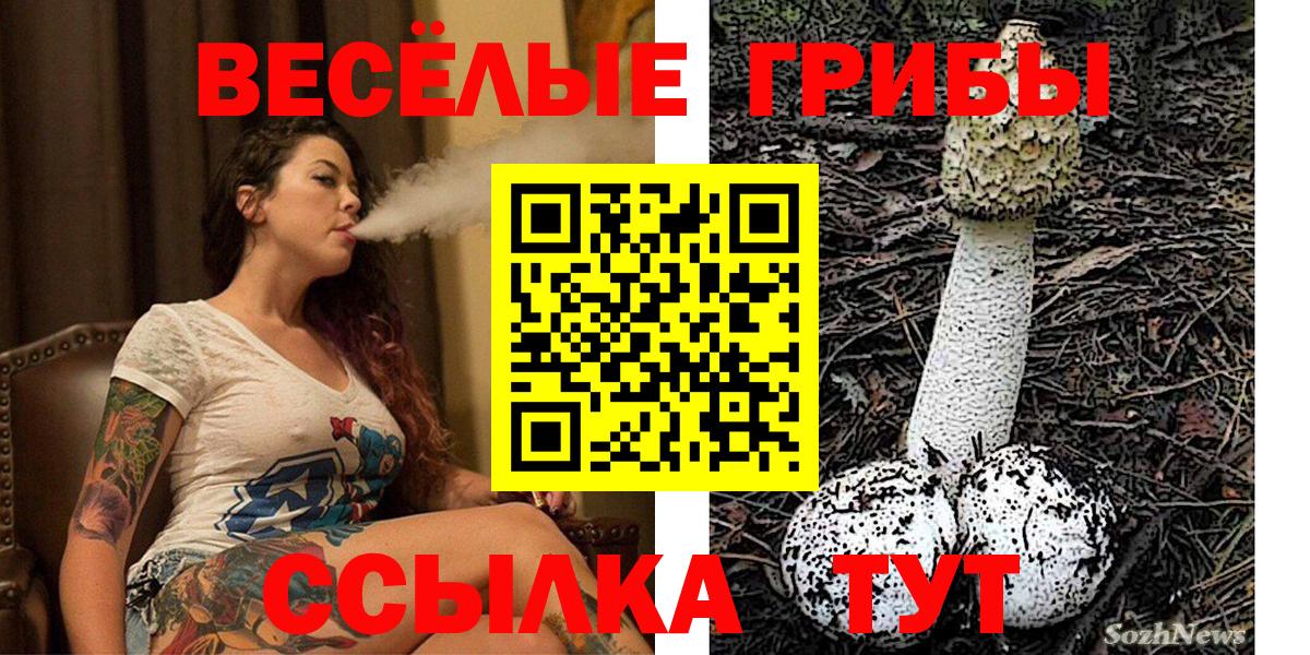 Бердск  Галлюциногенные грибы прущие грибы  Вход с VPN 